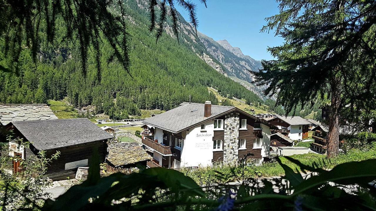 Holiday House Laerchenheim Saas-Balen 外观 照片
